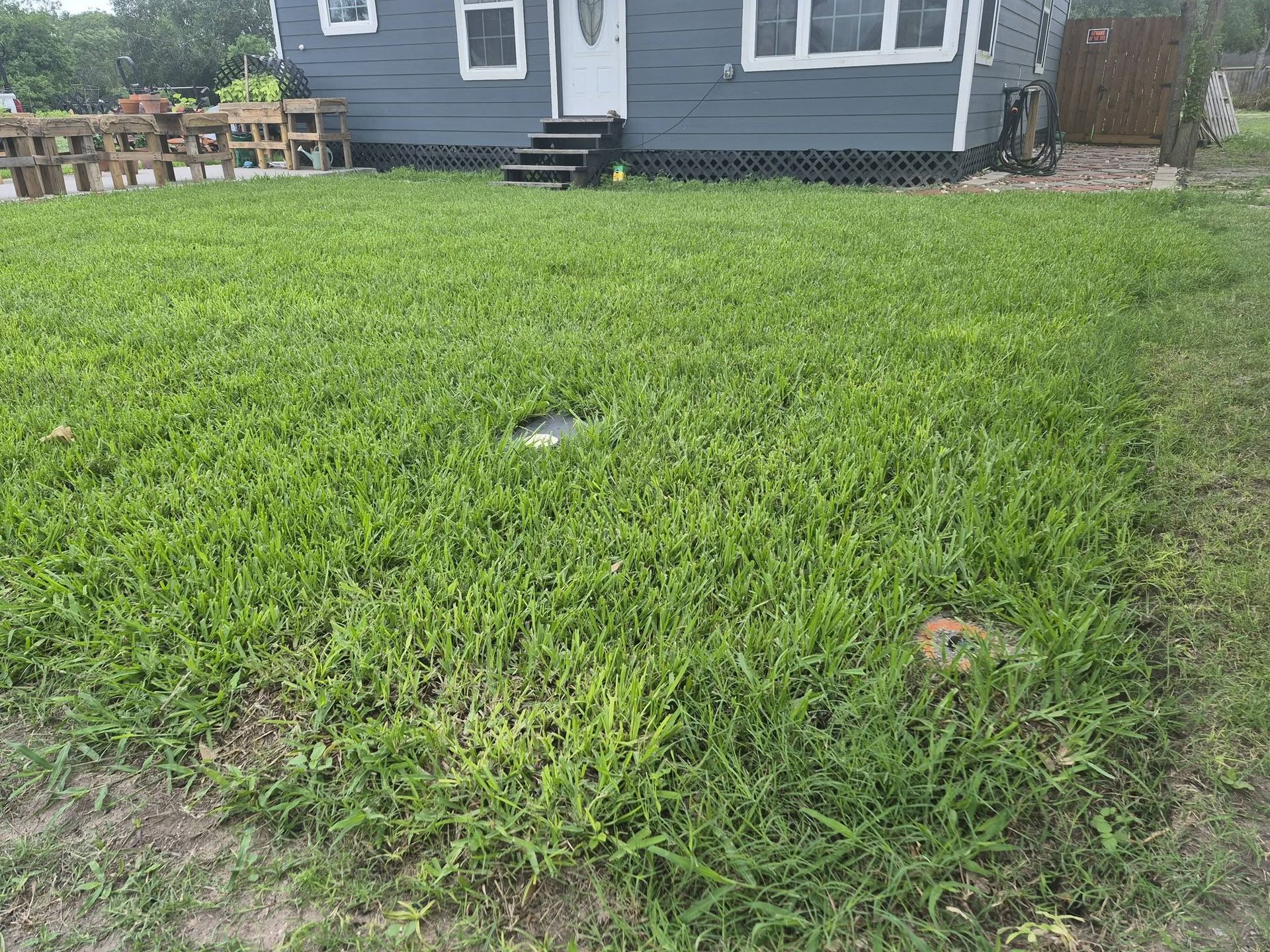 South Texas Turf and Tree LLC gallery photo