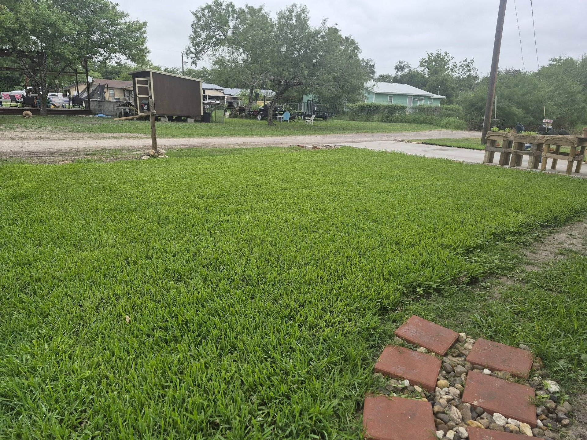 South Texas Turf and Tree LLC gallery photo